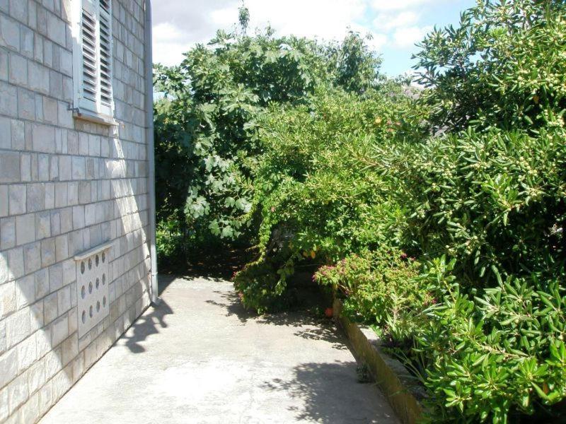 Apartment Pavo Dubrovnik Exterior photo